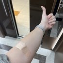 (주)메디플렉스 | 시험관 시술 과정4-5ㅣ감자와 눈사람 5일 동결배아 이식 후기 (김영상원장님,김영상원장님으로 전원 후기)