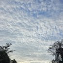 요정농장 이미지