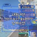 농수산물도매시장_하 | 천안시농수산물도매시장 남해수산 홍가리비/참가리비 포장 후기 내돈내산