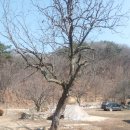 원주현대부동산공인중개사 이미지