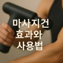 멍이맘&대디 | 💆‍♂️ 마사지건 효과와 사용법 가이드