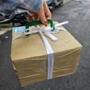 넘버25시그니처호텔 대청점 | 타이베이 시저 메트로 호텔 슈페리어 더블 가성비 5성급 후기 및 근처 맛집 추천