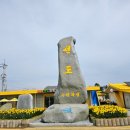 2025년 섬 수선화축제 이미지