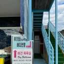 런던 애견하우스 이미지