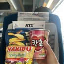 김포이씨씨 | 24.4.11~13 대구, 대전🚝