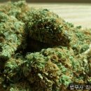 법무사최인귀사무소 | 울산개인회생 빚 해결의 시작, 여기였어요 법무사 최태경 사무소