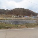 용수리 경로당 이미지