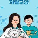 율하시티동물병원 이미지