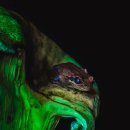 밤하늘에저별처럼 농장 이미지