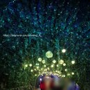 오건 | [광명] 서울근교 실내 가볼만한 곳 | 광명동굴 | 10년만에 방문 후기