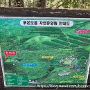 붉은오름자연휴양림2 네이버블로그