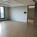 상판소나무숲 이미지