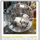코셔(KOSHER) 이미지
