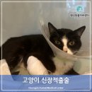 행신동물의료센터 이미지