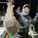 봄테크놀로지 | 전천후 올라운드 베이트릴 26년 다이와 라이즈 100 갑오징어낚시 사용후기