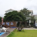 아렌스 펜션 | 여수 아렌스펜션 수영장 크고좋아요~^^