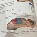 힐링요가 이미지