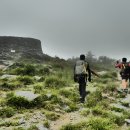 7월26~28일 태백태극종주 100km 이미지