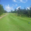 파라다이스골프장 이미지