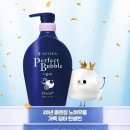 바디퍼펙트 이미지