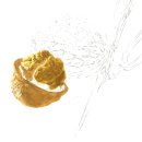 대상디앤에이 이미지