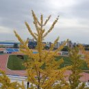 팔마체육시설 팔마수영장 이미지