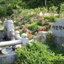 두메산골식당 이미지