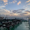 물고기 미포 이미지