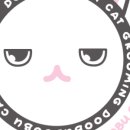 두부두부캣묭실 이미지