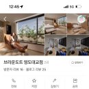 브라운도트 영도대교점 이미지