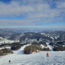 휘닉스파크 이미지