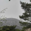 아도코리아