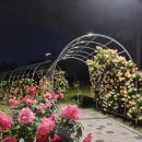 율곡천 5 이미지