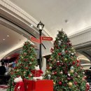 황금3로-R | 신세계 강남 마켓 크리스마스 팝업 원더랜드 상세 사진 후기