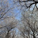 갈산공원(중간) 이미지