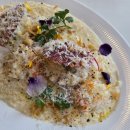 타이어패밀리 이미지