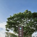 재미난소프트 | 나주 이화림 카페 후기, 넓은 야외정원, 주차 편한 나주 대형카페 추천