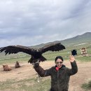 토함민속식당 | 6월 몽골여행 1일차 - 칭기스칸 청동 기마상, 낙타체험, 몽골전통공연