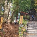 물고을 민박 | 대중교통을 이용한 도보여행 100선 제75탄 일본 나카센도 단풍 트레킹(2일차)