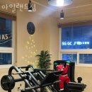 아일랜드짐 | 도평리헬스장 아일랜드짐 후기