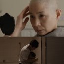 김호정 카카오 검색결과