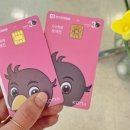 연세 경기 태권도장 이미지