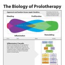 닥터조제통외과의원 이미지