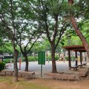 숲속어린이공원 이미지