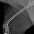 구피동물병원 이미지