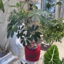 대구학생국악단 정기연주회 이미지