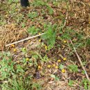 호곡농장 이미지