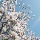 (주)슈베리 이미지