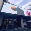 씨유용산타운점 | 프랑켄 은앙리 킹키부츠 은롤라 지크슈 은저스까지 슬기로&#39;은&#39; 뮤덕생활