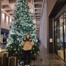 씨 사이드 뷰 이미지